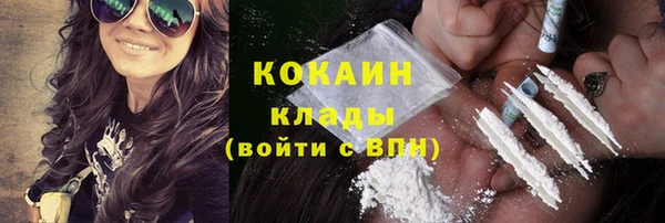 дживик Алексин