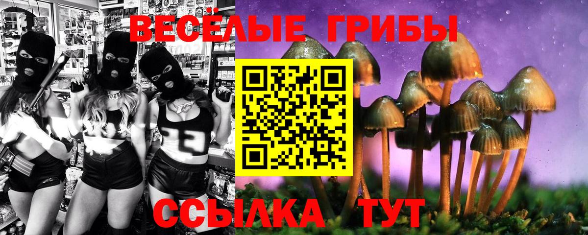 Псилоцибиновые грибы Magic Shrooms  где можно купить наркотик  Амурск  Вход с VPN  Псилоцибиновые грибы ЛСД 